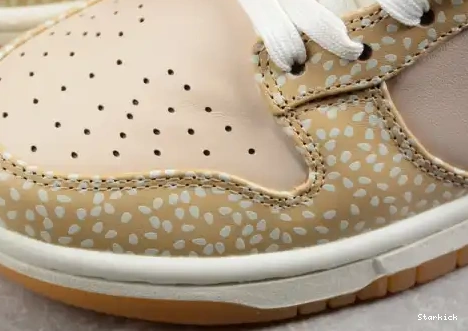 DZ4853-200 Montreal Low Bagel Sesame Dunk Nike 0613